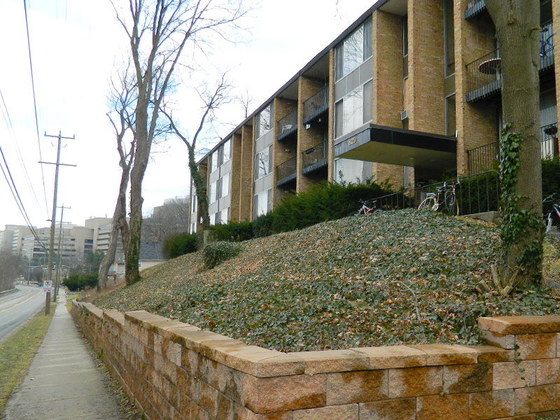 3-Bedroom at 820 Fuller (River View)